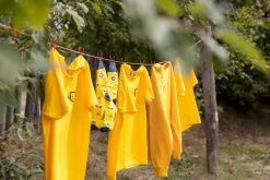 Easy Camp Eclipse 300 Tunneltent - 3 Persoons - Groen -Buitenwinkel 1267 1900 waslijn 1