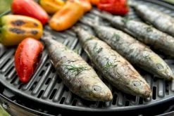 CADAC Grillo Chef 40 Gasbarbecue - BBQ/Dome -Buitenwinkel 801 1200 cadac grillo chef 40 eten