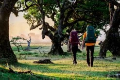 Osprey Renn Backpack - 50 Liter - Paars -Buitenwinkel osprey rennrook 4